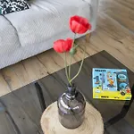 Maison Familiale Avec Jardin - 900m *