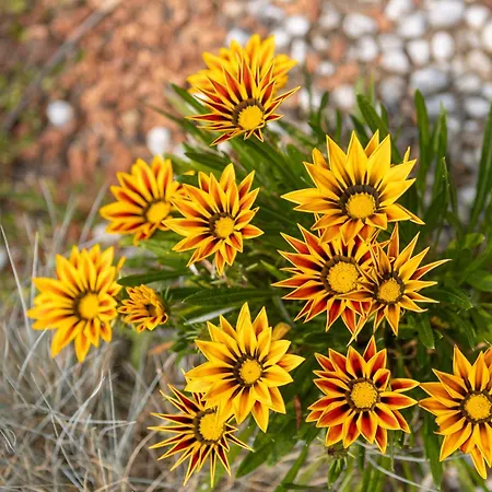 Authentic And Spacious Family Villa Les Sables-dʼOlonne