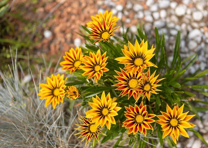 Authentic And Spacious Family Villa Les Sables-dʼOlonne